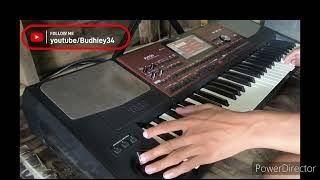Cek Sound Korg PA700 Clarity Horegg