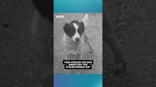 1966: Pickles the Dog sniffs out the World Cup | BBC Archive