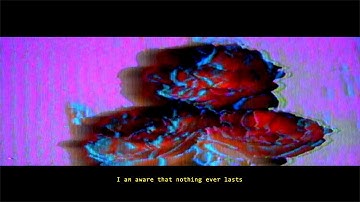 Structures - Expectations (Official Video)