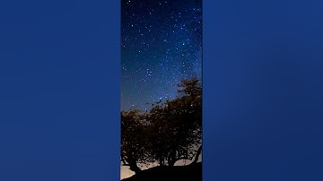 تلاوة هادئة تأخذك إلى عالم أخر 🎧🌍💙✨|سورة الحجر|بصوت القارئ عمير شميم