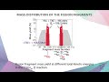 4.5 Spontaneous Fission of the Heaviest Nuclei