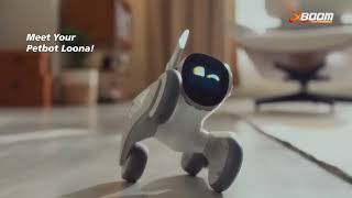 Unveiling LOONA | Petbot | Xboom