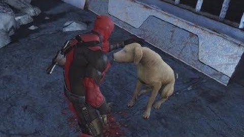 Deadpool random crap 5:  Mr. Shuggums