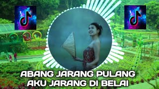 DJ ABANG JARANG PULANG AKU JARANG DI BELAI🌴VIRALL TIKTOK 2024