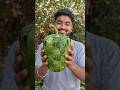 Making a GIANT Capsicum from Leaves 😳🍃 | 8s Satisfying Craft #shorts