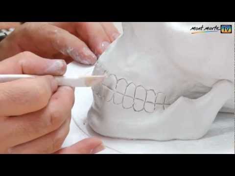 How to make a skull using air hardening modelling clay