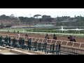 Hard not to love (inside horse) Haughty Girl (outside horse) 8/15/18 Del Mar