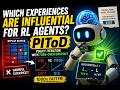 Which Experiences Are Influential For RL Agents