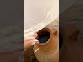 لبن البادية
