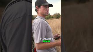 Training a Pointer Dog for Upland Hunting!