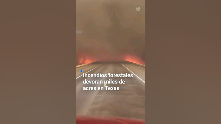 Incendios forestales devoran miles de acres en Texas y mantienen en alerta a miles de habitantes