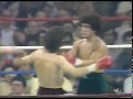 Salvador Sanchez vs Roberto Castañon  - Campeonato del mundo WBC