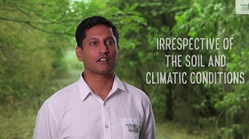 Part-1 (Understand Miyawaki Method) Growing Native Forests Using Miyawaki Technique Tutorial