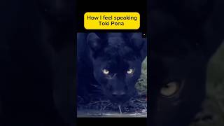 How I Feel Speaking Toki Pona