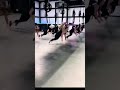 Горизонтальная тяга - лучшее упражнение для «толщины» спины #спина #зал #спорт #качалка #спортзал