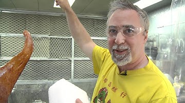 Building the Brain: Exhibit Models