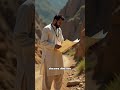 India vs. Pakistan War 2025