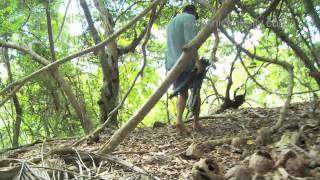 Behind the scenes in Tonga