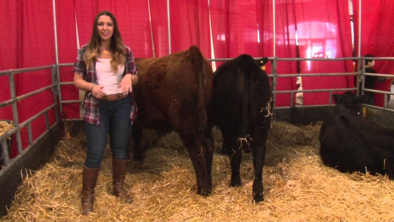 30th Annual New York State Farm Show YouTube