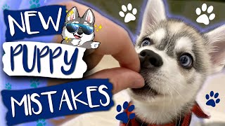 AVOID These New Puppy Mistakes When Raising A New Puppy