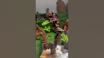 Tượng tế công gỗ trắc mời ae giao lưu a