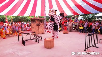 Lễ hội trái cây vườn, phường tân lộc thốt nốt