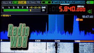 Radio WDR x Contikenzo Radio -- 5840 kHz / 2026-05-17