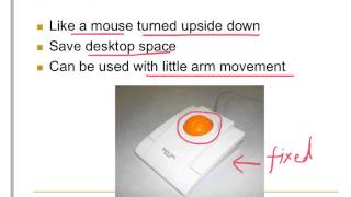 Input 06 trackball touchpad