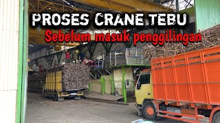 Begini cara truk tebu bongkar muatan di pabrik gula