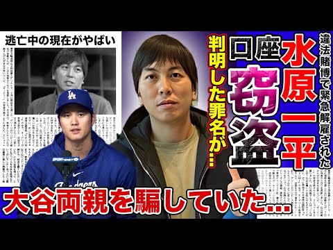 【衝撃】水原一平の罪名が判明！？大谷翔平を騙し続けた”詐欺”の真相…謎に包まれていた送金方法とは…大谷の両親を騙して行った衝撃の悪事に言葉を失う！‌