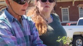 Partnering With Abi - 2017 Spring Skill Share