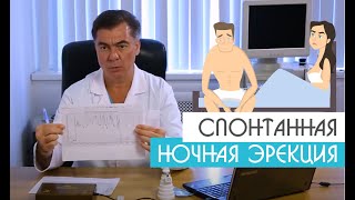 😱Ночные эрекции |Уролог-андролог Михаил Чалый