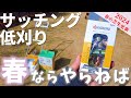 【2024今年も春が来た！】「サッチング」「低刈り」"解説付"春の更新作業が開幕‼︎