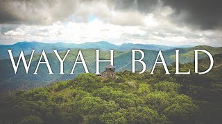 APPALACHIAN TRAIL | “Above Wayah Bald Firetower”    #appalachiantrail #wayah #firetower by JBENHIKES 121 views 10 months ago 2 minutes, 40 seconds