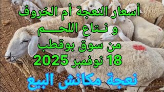 أسعار النعجة بأنواعها من سوق المواشي بوقطب 18 نوفمبر 2025