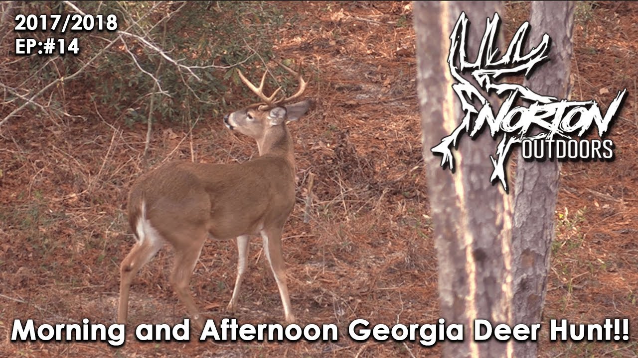 Morning & Afternoon Deer Hunt YouTube