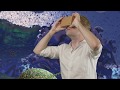 Virtual Reality in Biology Education