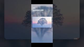 PureDesk – Clean Up Your Desktop and Stay Focused