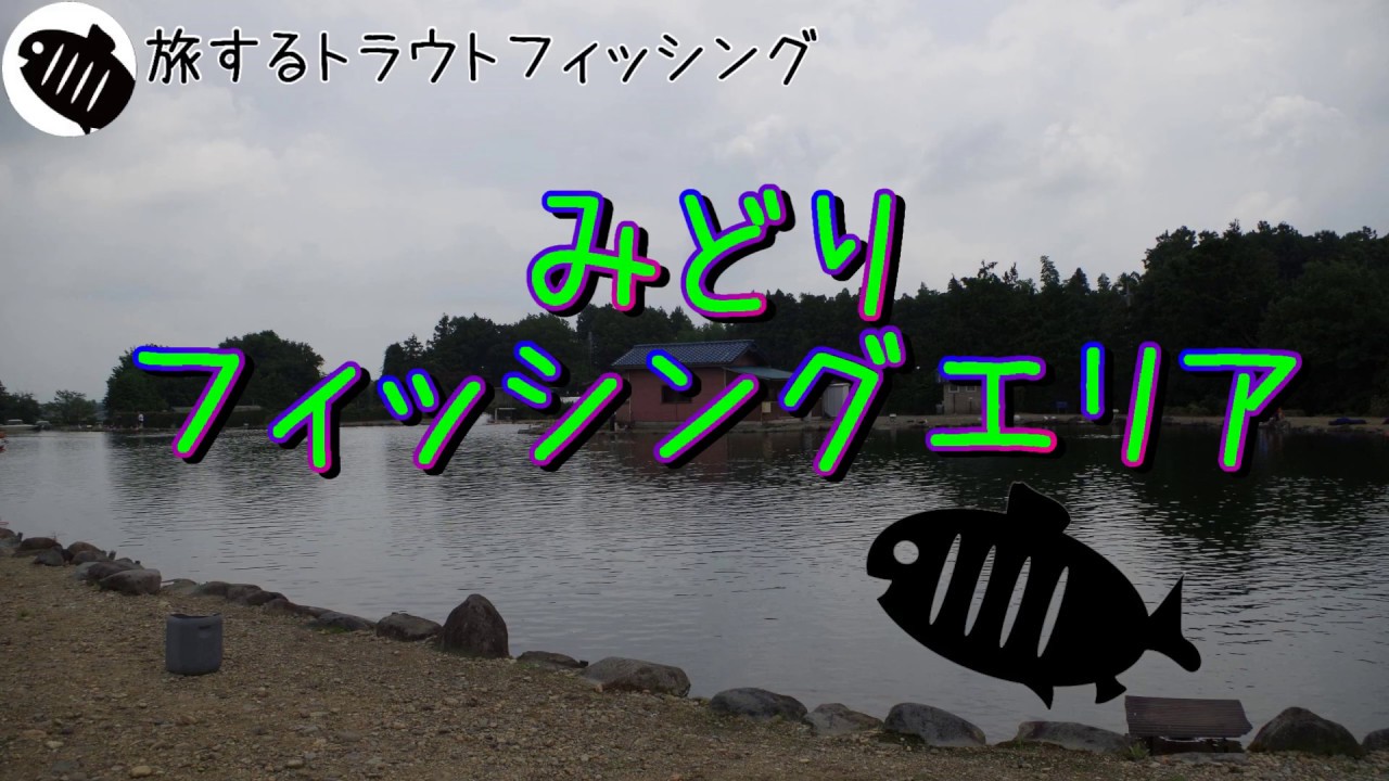 みどり の 釣り blog