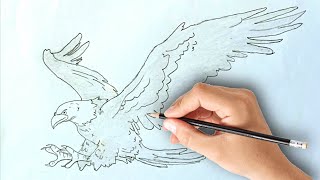 From Blank Page to Majestic Eagle: Sketching Tutorial | Outline Method
