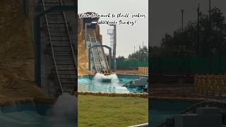 From teamwork to thrill-seekers – Wonderla Sunday!