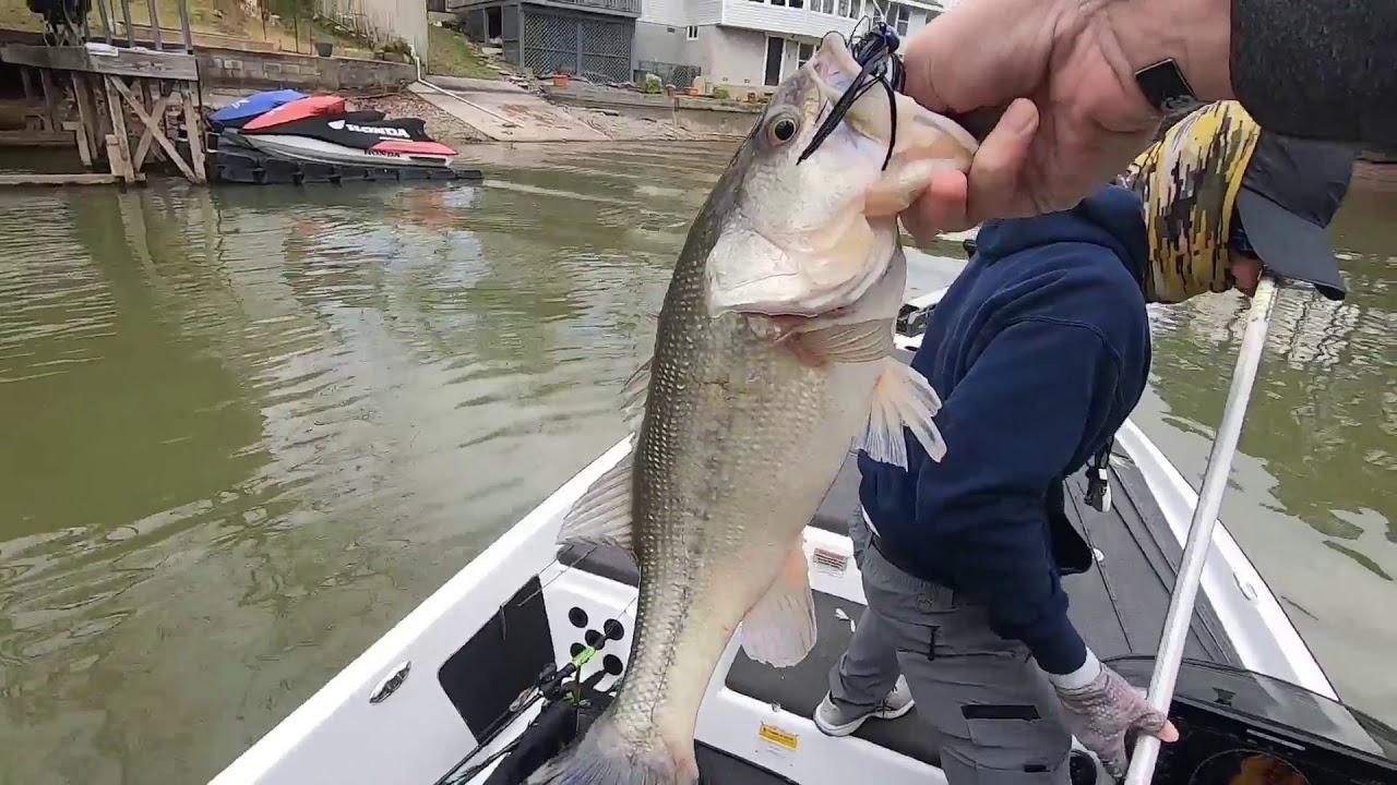 2020 Mr Bass of Arkansas tournament season 1st stop, Lake Hamilton