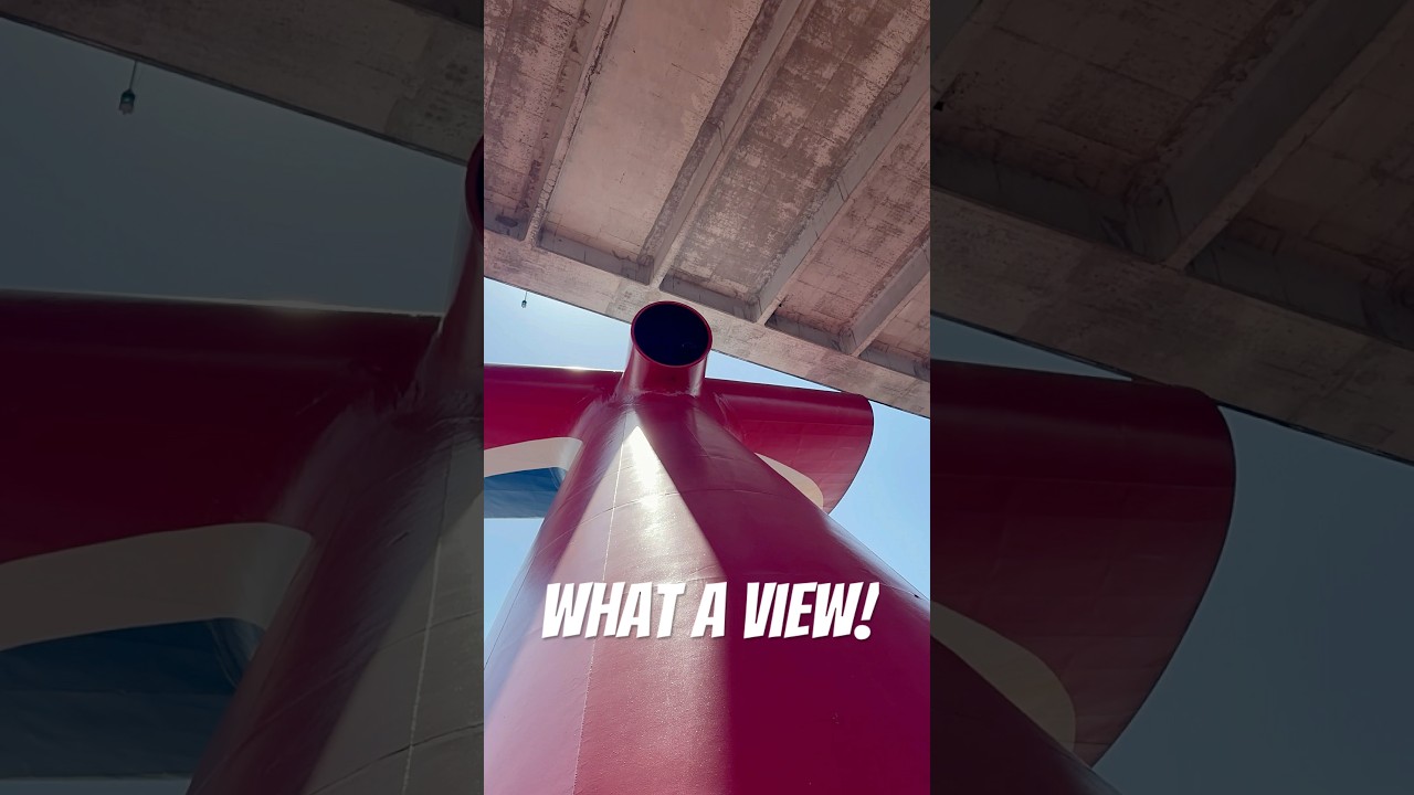 Cruising under the bridge while at Sail away! Have you cruised under a bridge?! #carnivalcruise