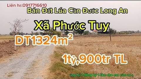 Nhà Đất Duyên Toàn: Bán Đất lúa cần đước Long An, xã Phước Tuy, mặt tiền đá 3m, 1tỷ,900tr TL(Ms57)
