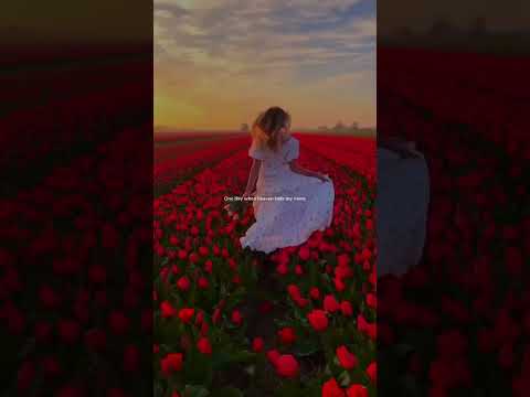 one day-slowed+reverb song