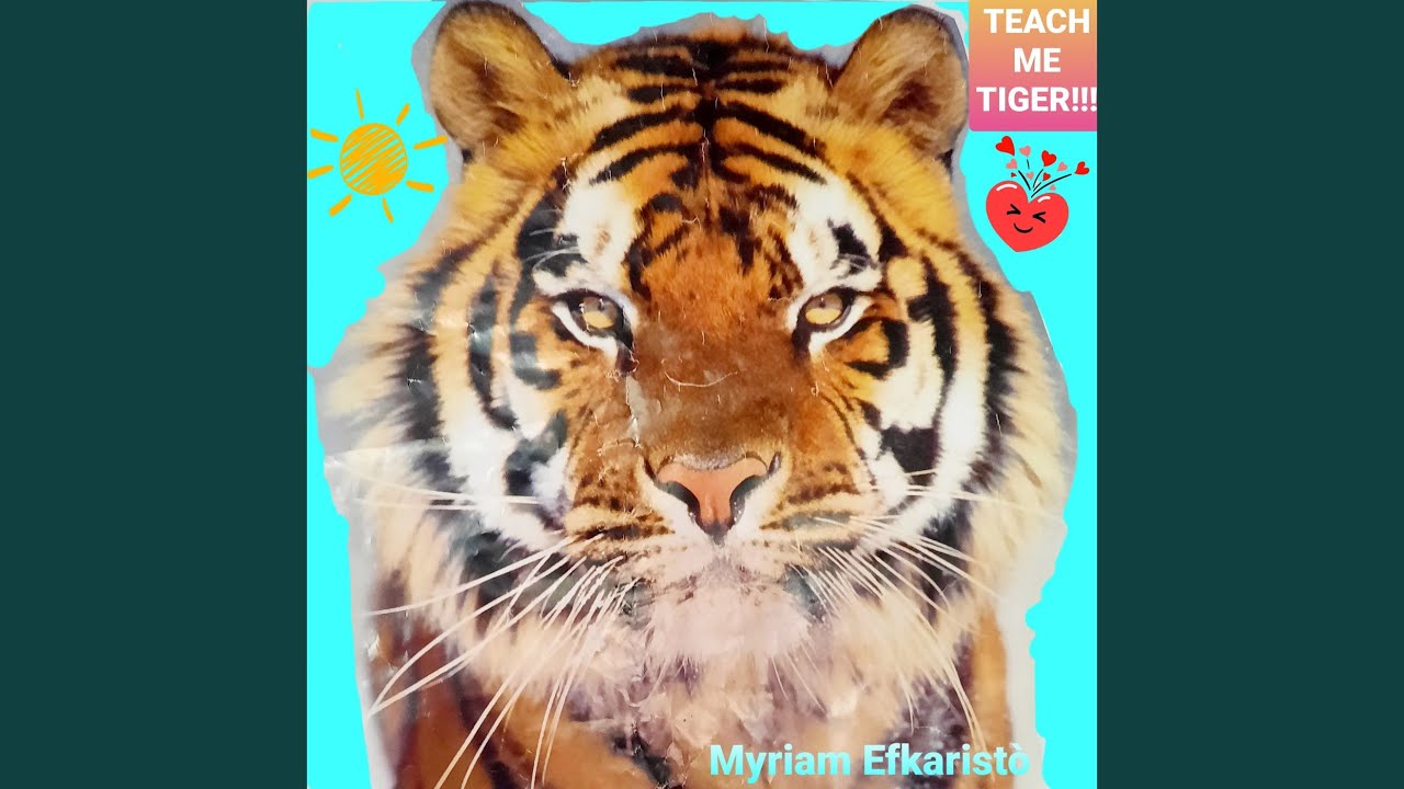 YouTube에서 Teach Me Tiger 보기 YouTube에서 Teach Me Tiger 보기