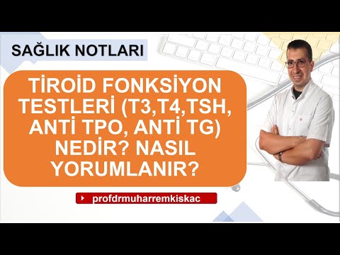 Tiroid fonksiyon testleri ( T3, T4, TSH, Anti TPO ) nedir?