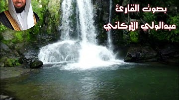 سورة لقمان بصوت القارئ/ عبدالولي الأركاني - Surat Luqman
