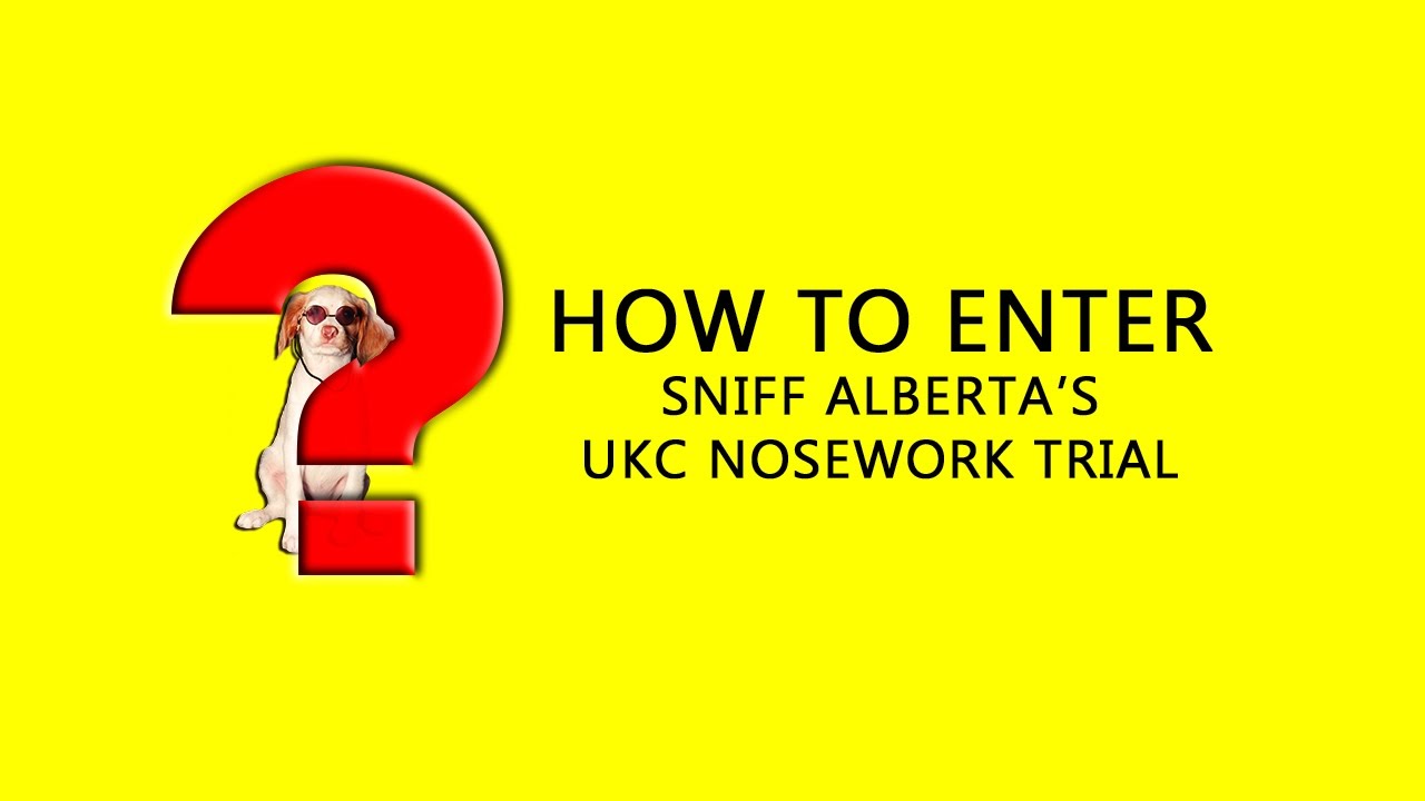 How To Enter A UKC Nosework Trial YouTube how-to-enter-a-ukc-nosework-trial-youtube