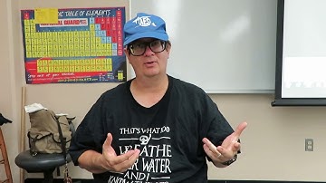 #WormWednesday -  Pig Butt Worm